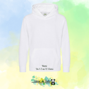 Sweat capuche Noah