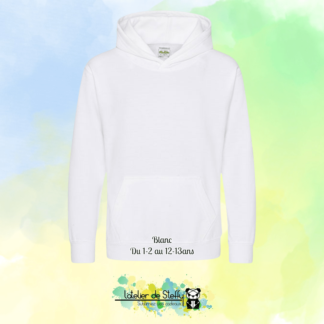 Sweat capuche Noah