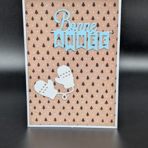 Carte 757 - Bonne année