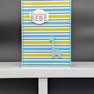 Carte 797 - Bienvenue bébé