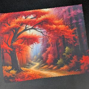 Lingette lunettes/écrans - Automne sous bois