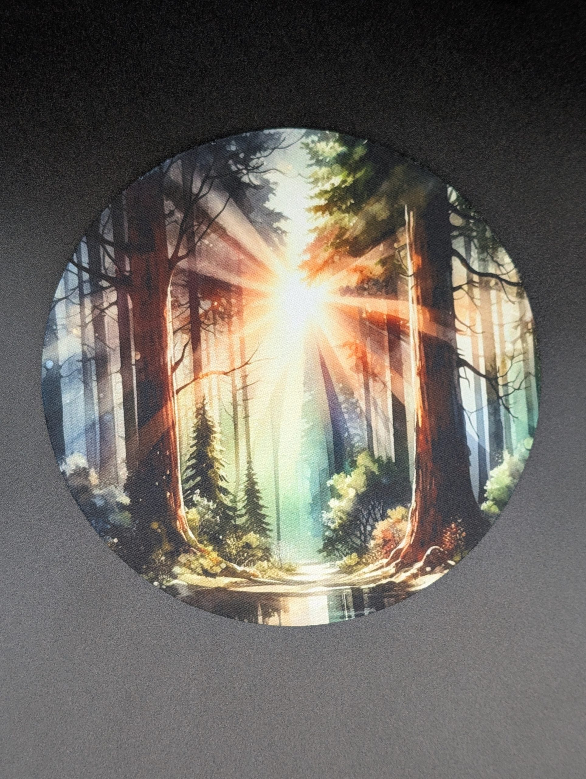 Tapis de souris rond - Automne en forêt