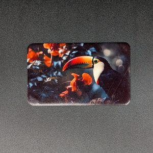 Magnet rectangle - Toucan