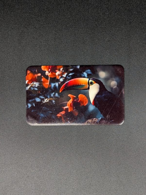 Magnet rectangle - Toucan