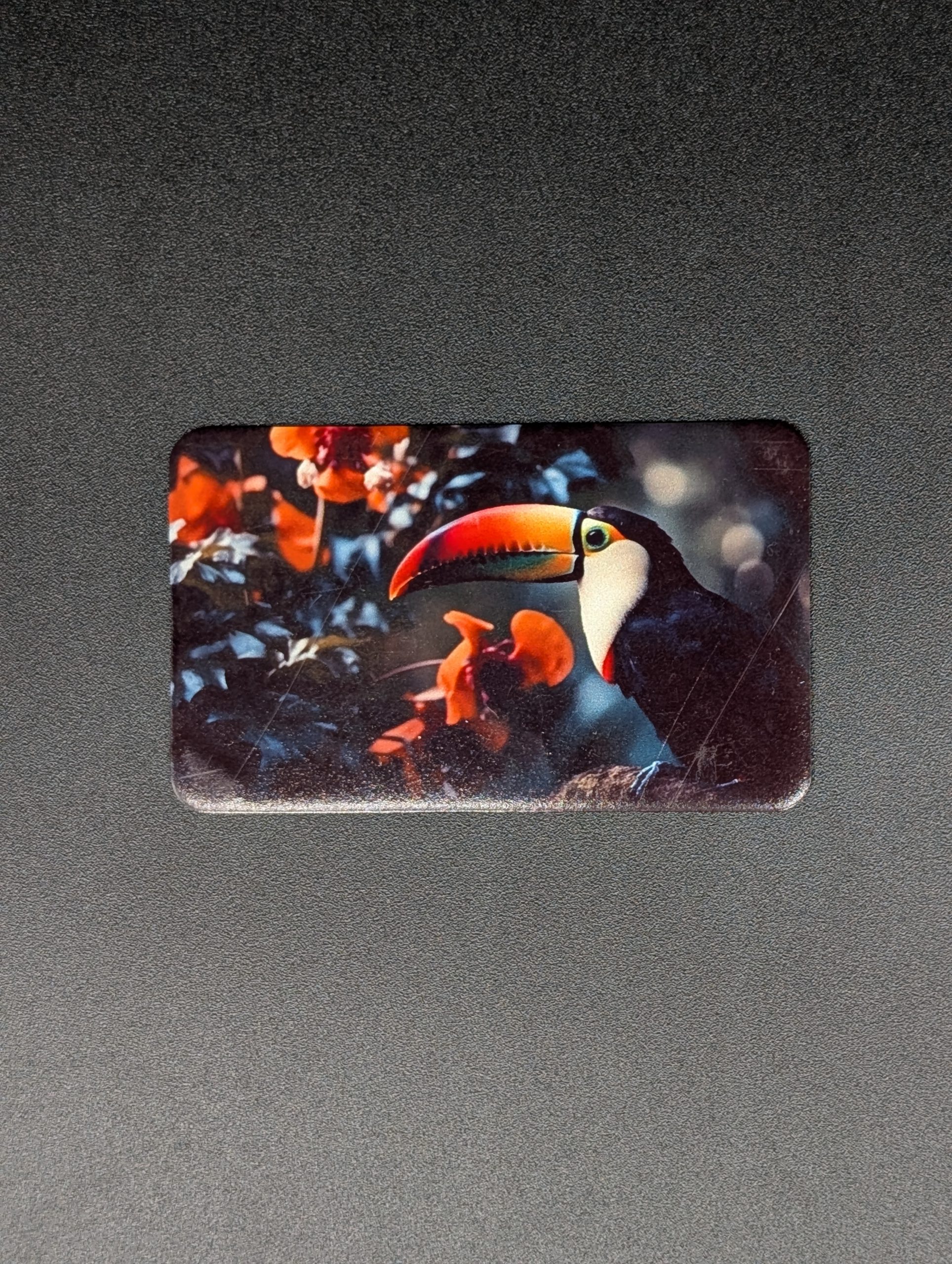 Magnet rectangle - Toucan
