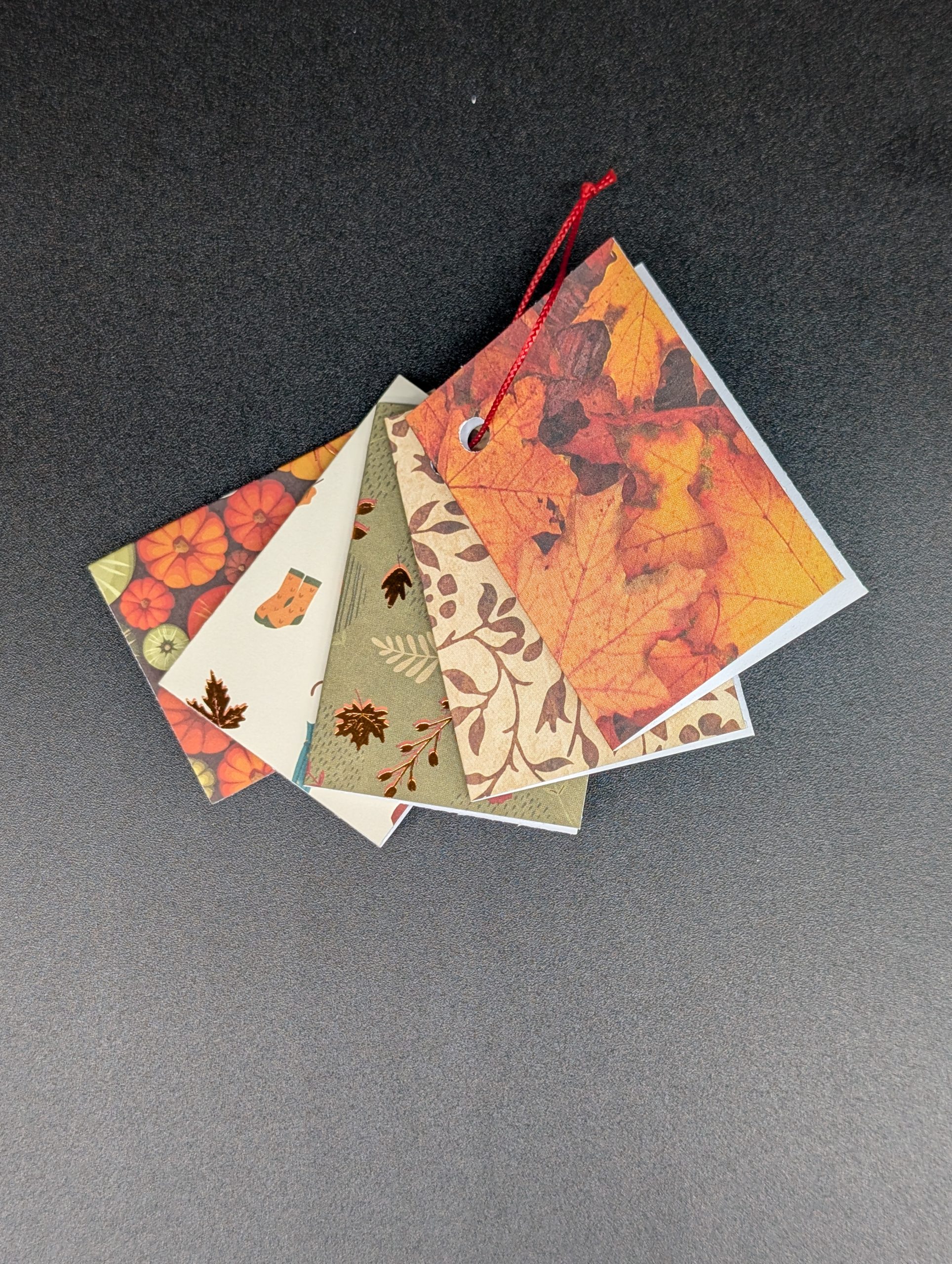 Lot de 5 étiquettes cadeau - Feuilles d'automne