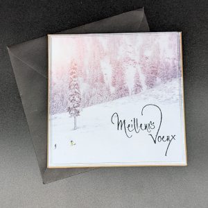 Carte 1142 - Meilleurs voeux