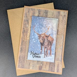 Carte 1146 - Meilleurs voeux