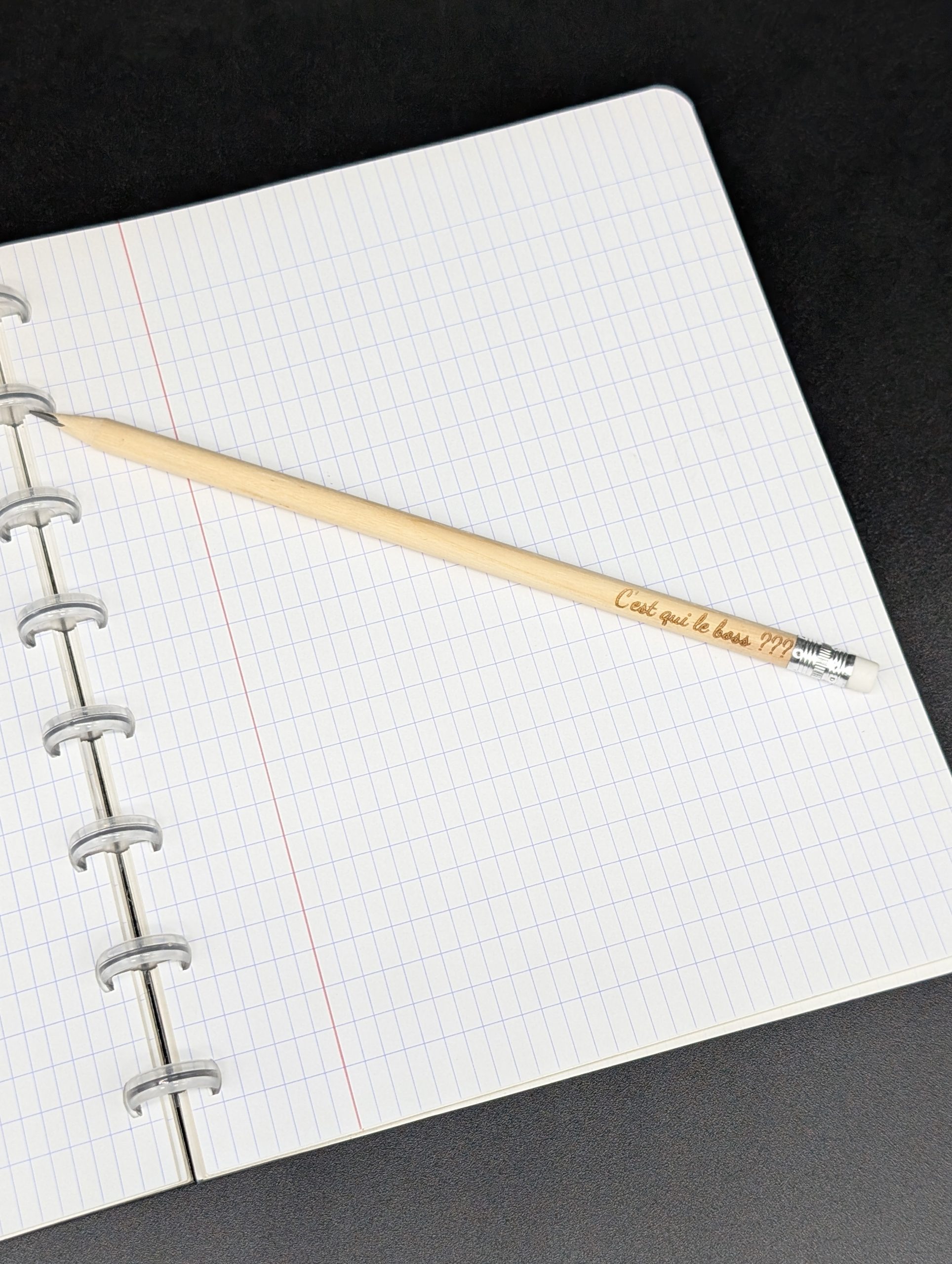 Crayon gris - C'est qui le boss ???