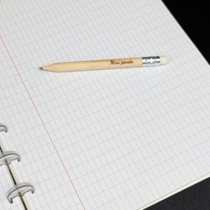 Mini crayon gris - Mini panda