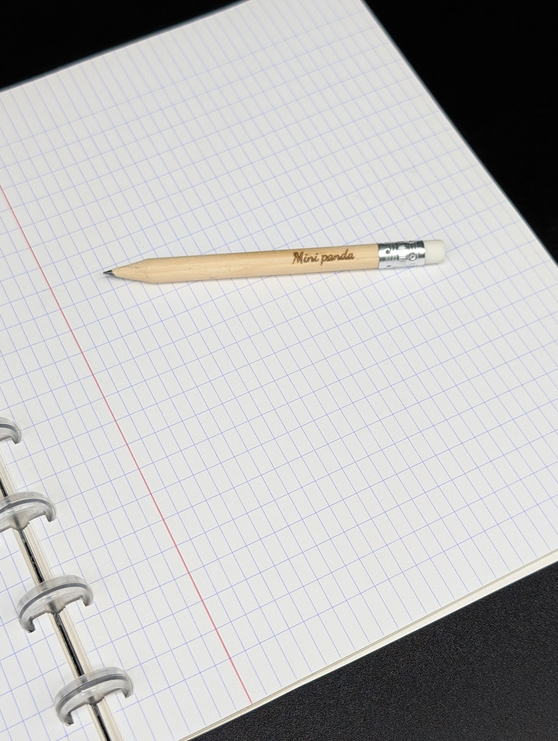 Mini crayon gris - Mini panda