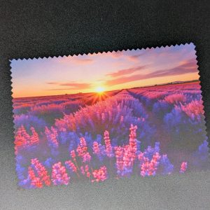 Lingette lunettes/écrans - Champs de lavande