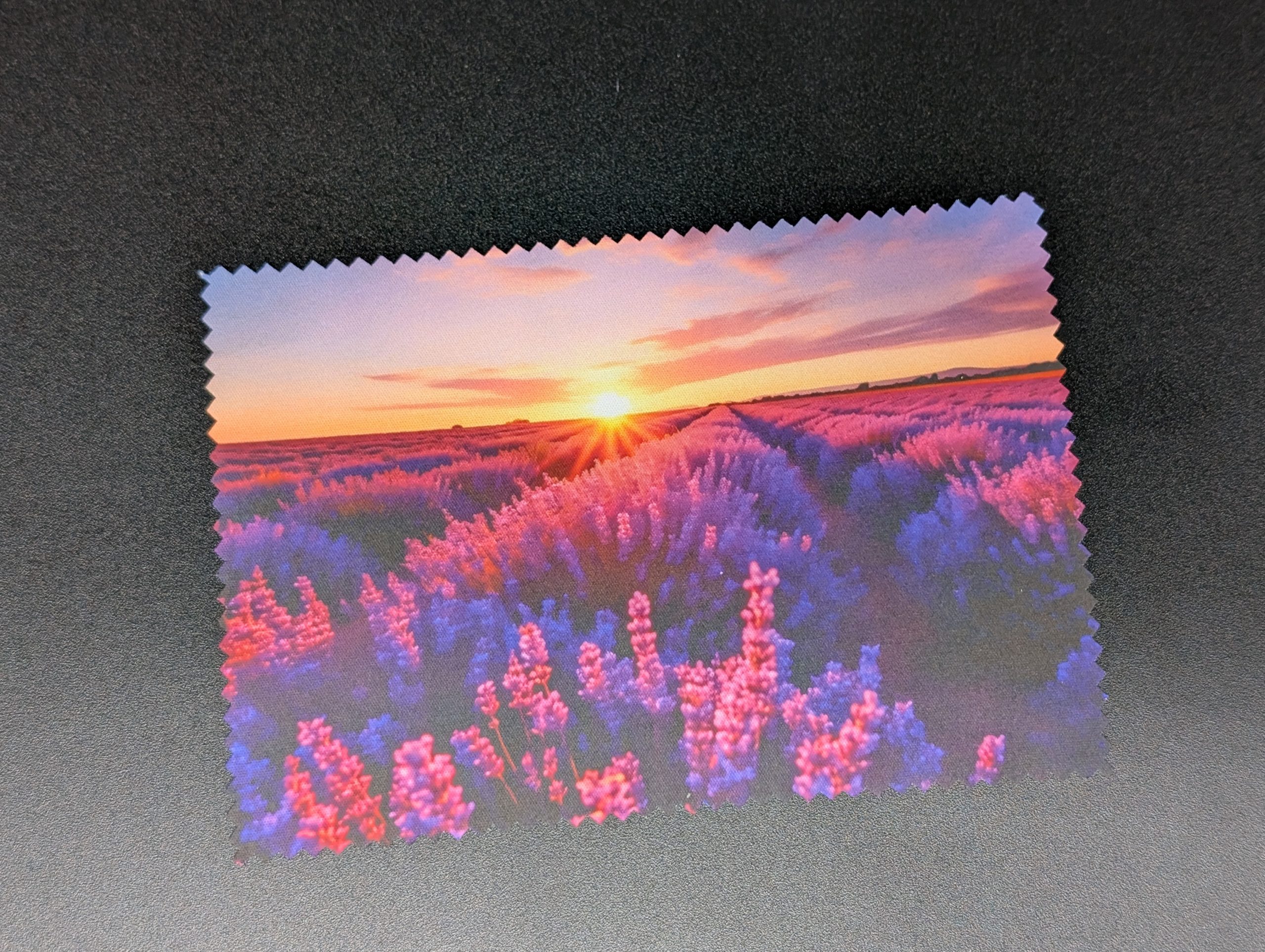 Lingette lunettes/écrans - Champs de lavande