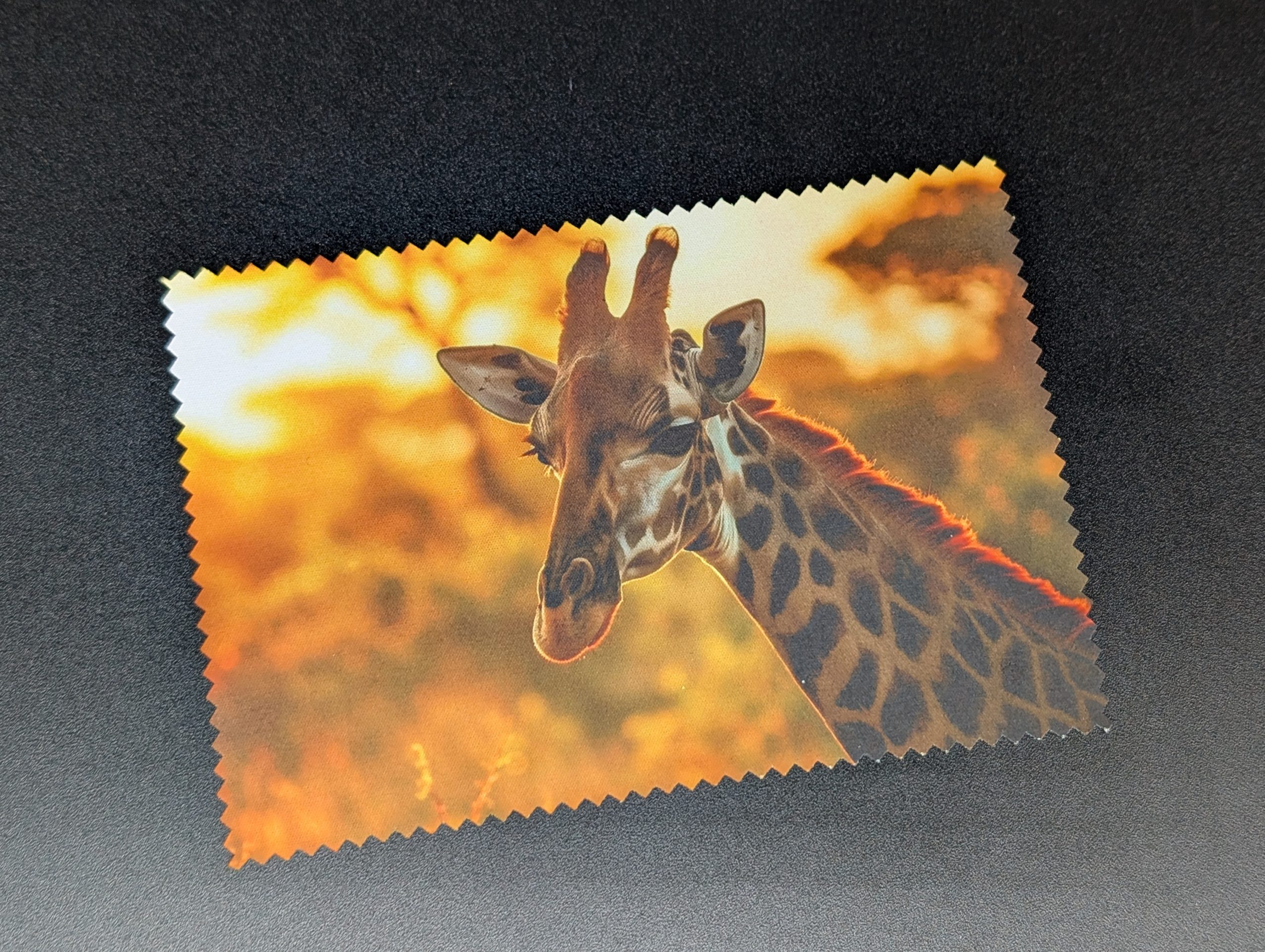 Lingette lunettes/écrans - Girafe