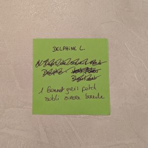 Commande Delphine L.