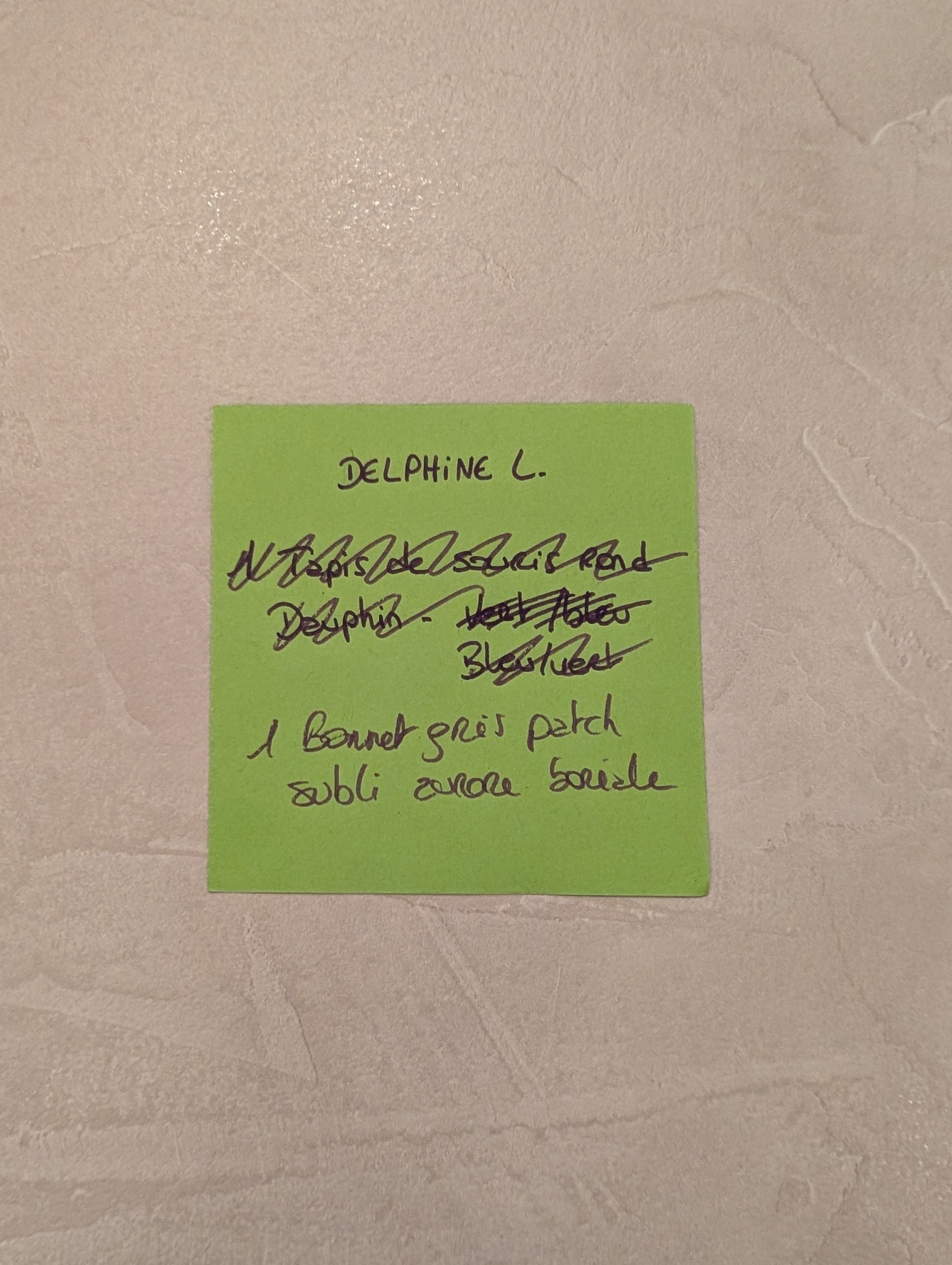 Commande Delphine L.