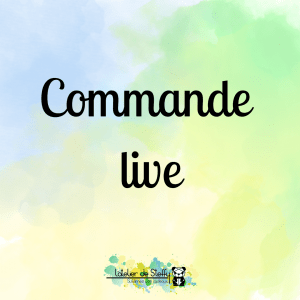 Commande Virginie S.