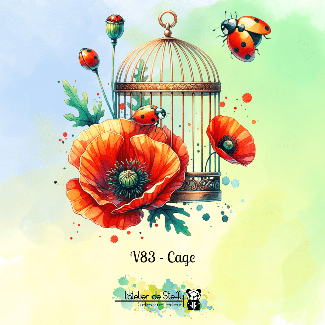 Collection Coquelicots et soleil – Image 6