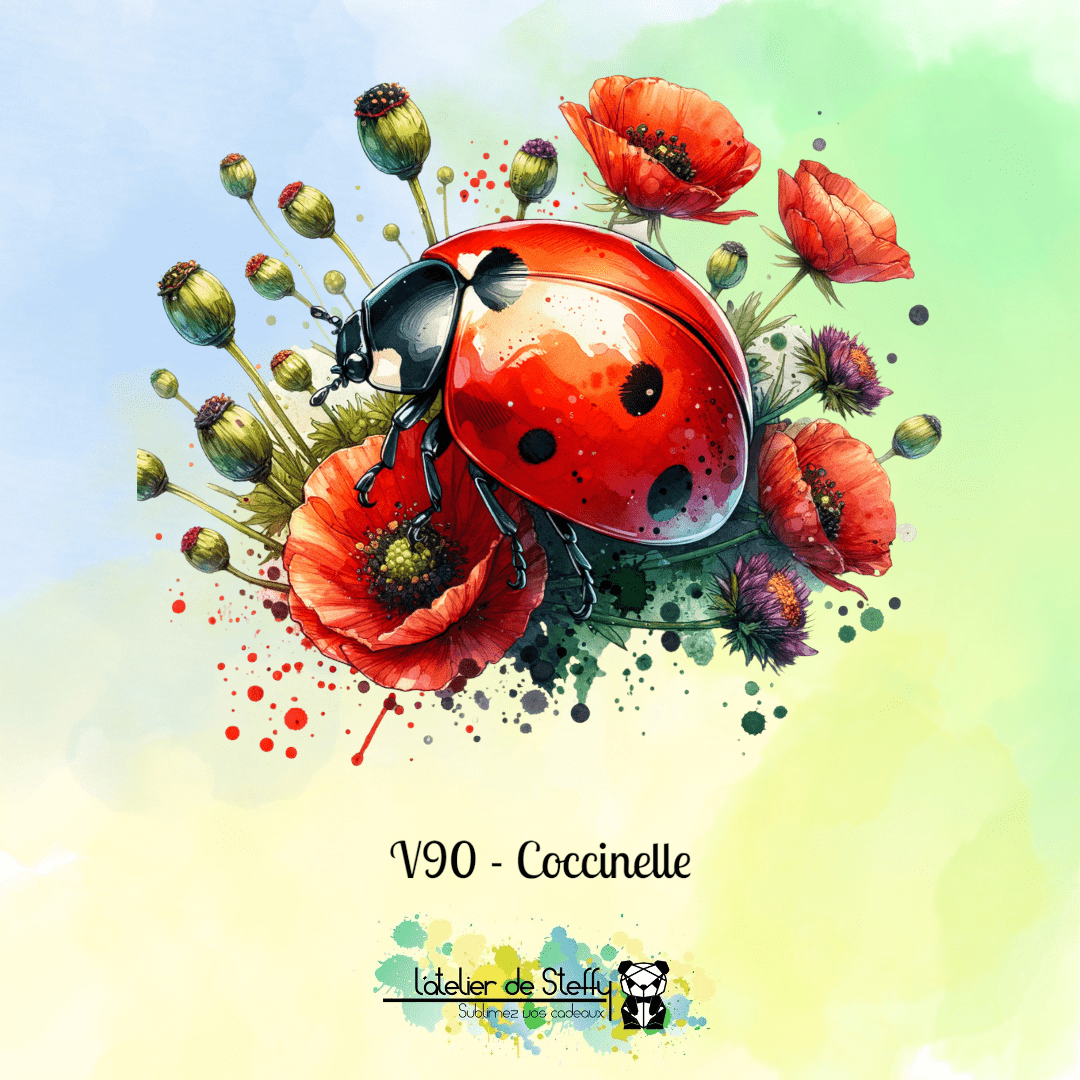 Collection Coquelicots et soleil – Image 13